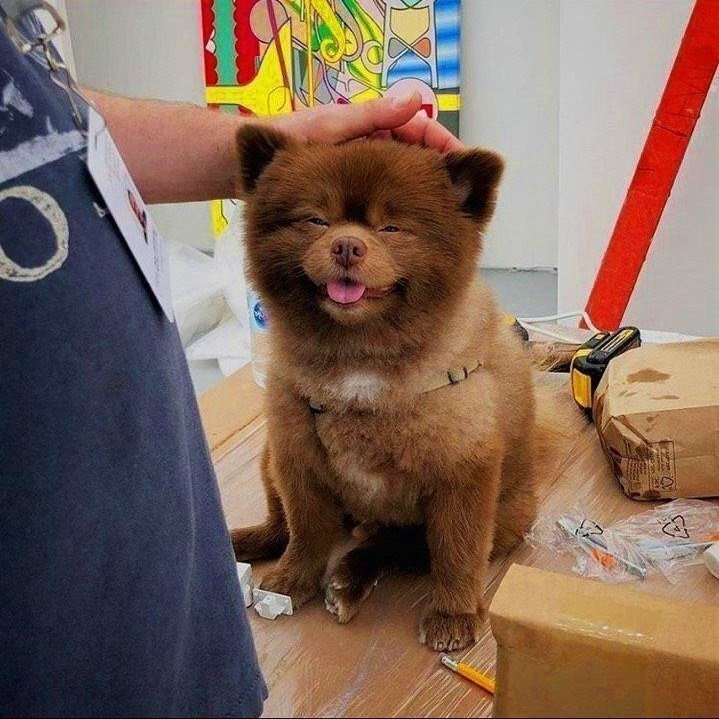   ,    .-  ,   