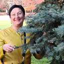 ���� ���������, ���������, 60 ��� - ��������� 21 ������� 2026 � ������ ���� ����������