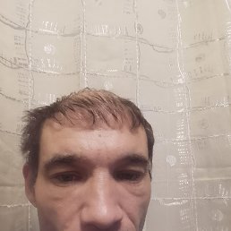  , 41 , 