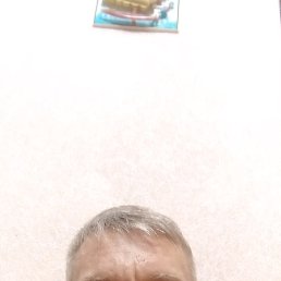 , 49, 