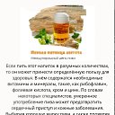 ���� �����, ���������, 69 ��� - ��������� 6 ������� 2026 � ������ ������ ��������