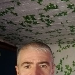  , 47 , 
