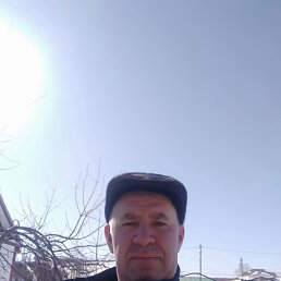 , 52, 