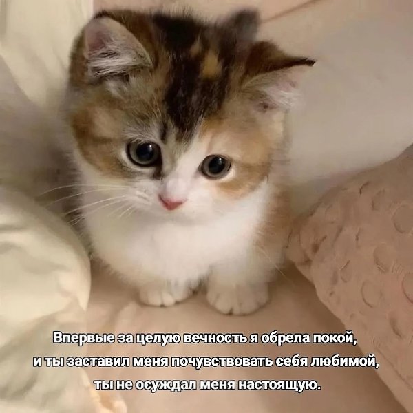 ������. - 6 ������� 2025 � 11:48 - 3