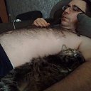 ���� ������, �����������, 41 ��� - ��������� 12 �������� 2024 � ������ ���� ����������
