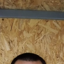 ������ �������, 41 ���, �����������