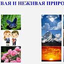 ���� �����, ���������, 25 ��� - ��������� 1 ���� 2024 � ������ ���� ����������