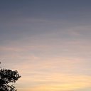 ���� Omi, ������, 20 ��� - ��������� 4 ��� 2026