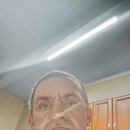 , 41, 