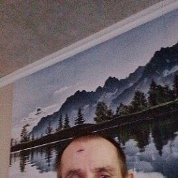 ������, 44 ����, ����