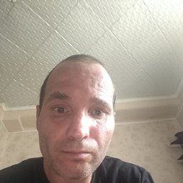 , 39, 