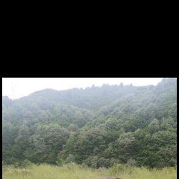 ���� Bülentttt, �������, 48 ��� - ��������� 10 ������ 2025