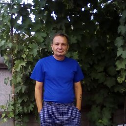 , 54, 