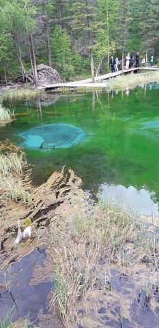 ���� ���, �����������, 36 ��� - ��������� 15 ������� 2024