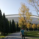 ���� �����, ������������, 38 ��� - ��������� 31 ������� 2025 � ������ ���� ����������