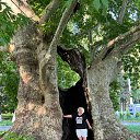 ���� �����, ����-�����������, 51 ��� - ��������� 12 ���� 2025 � ������ ���� ����������