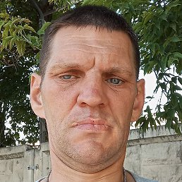 , , 44 