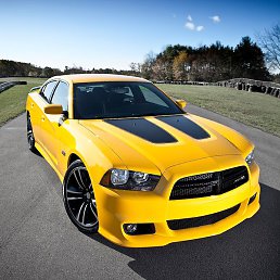 �������, ���, 55 ���