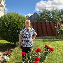 �����, �����������