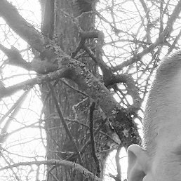 �������, �������, 35 ���