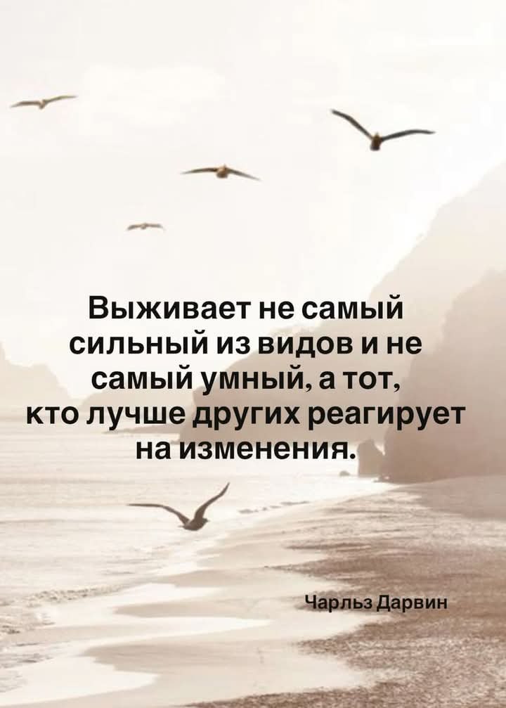 X.x. - 19  2025  19:50 - 2