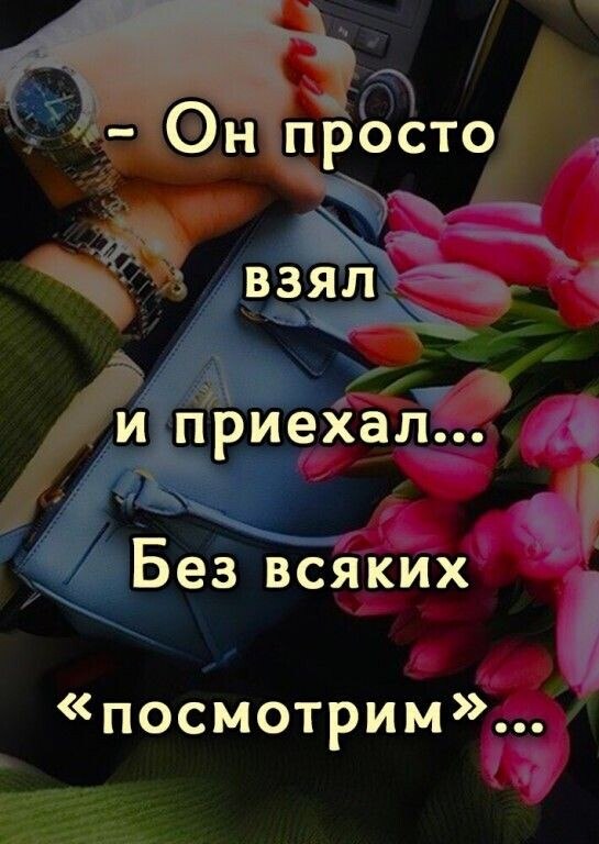  - 12  2024  03:31