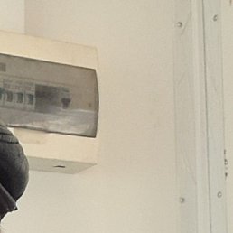 ���������, �������, 66 ���