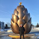 ���� �������, ���������, 42 ���� - ��������� 9 ����� 2024 � ������ ���� ����������