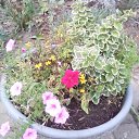  ,  -  3  2025   Beregszasz_2024