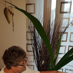 , 65, 