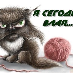 , , 28 