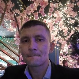 ���� ����, ������, 37 ��� - ��������� 17 ����� 2024