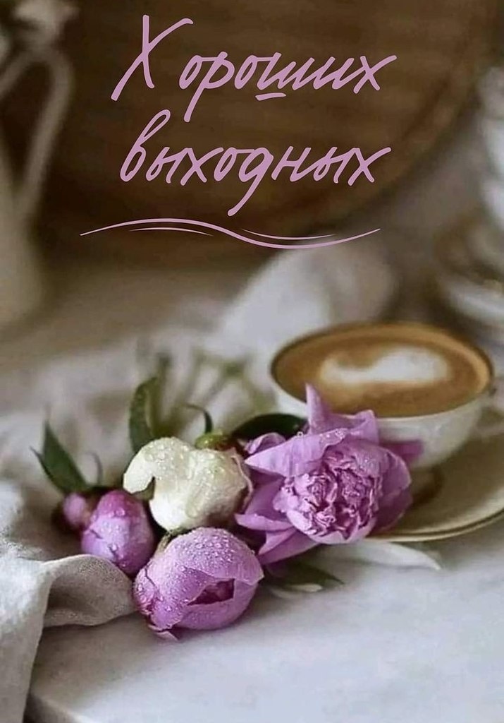   ,    . - 7  2025  23:52