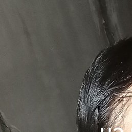 ������, �������, 48 ���