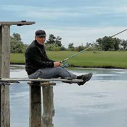 ��, �����������