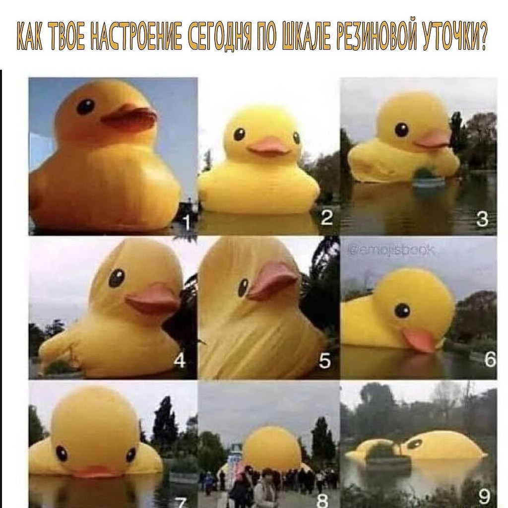   - 7  2025  12:53