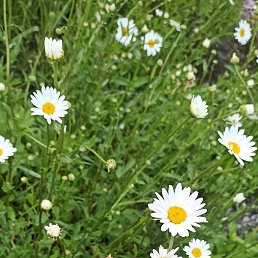 ���� �������, ������-����, 63 ���� - ��������� 5 ���� 2024