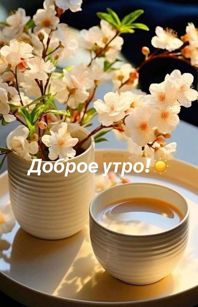 ����������� � ���������, �������� �� ������ ����. - 17 ������ 2026 � 00:29 - 4