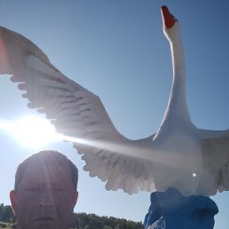 , 50, 