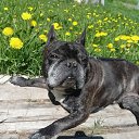 ���� �������, �����-���������, 55 ��� - ��������� 6 ������� 2025 � ������ ������ ��������