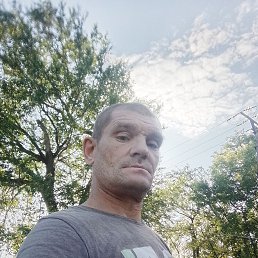 ������, 41 ���, ����