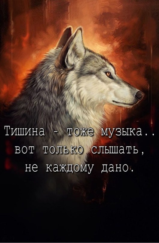  - 21  2024  10:02