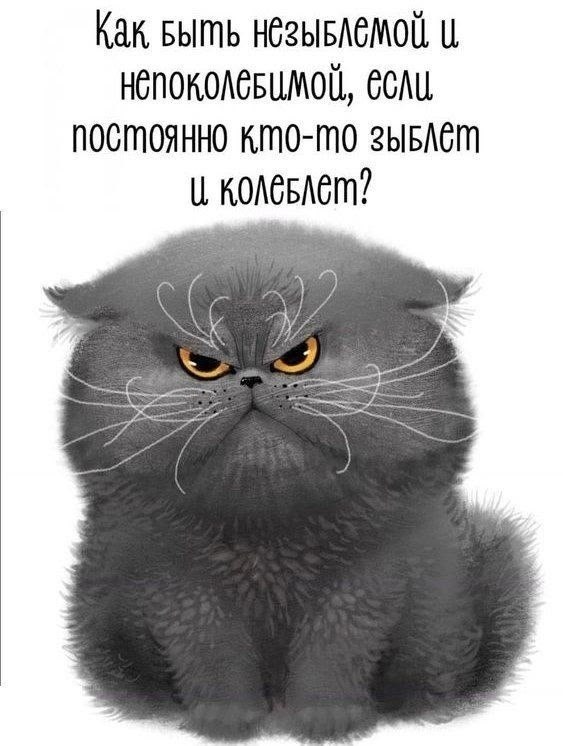  - 13  2025  18:05