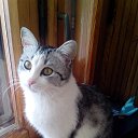 ���� ����, ��������� - ��������� 12 ������ 2025 � ������ ������ ��������