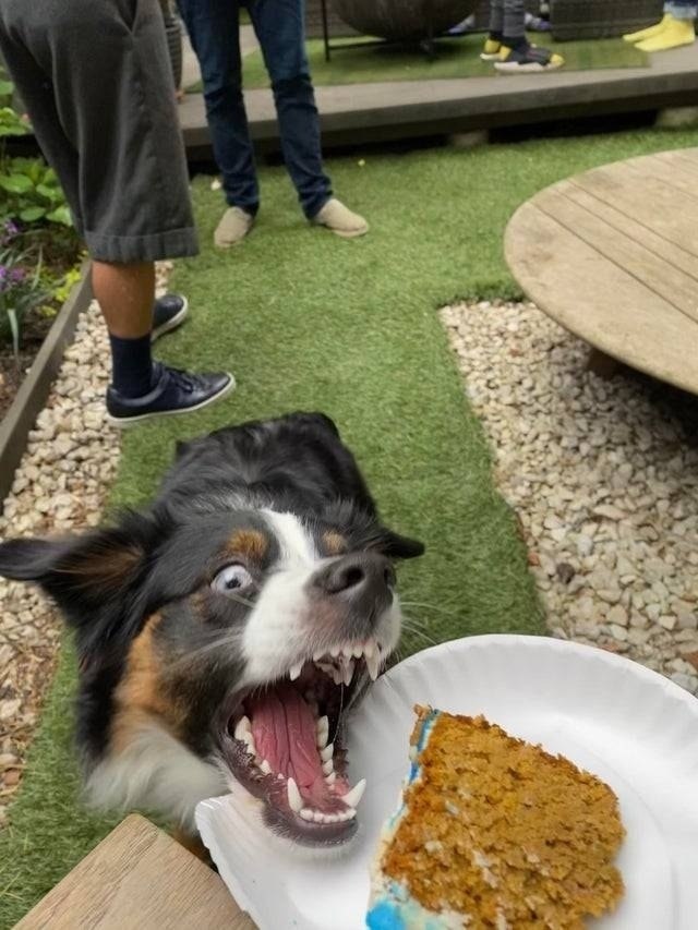 ���� ����� �� �����, ����-�� � �������!