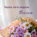 ���� ���, �������� - ��������� 27 ������ 2026 � ������ ������ ��������