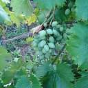 ���� �����, �������� - ��������� 26 ���� 2025 � ������ ������� 2025�