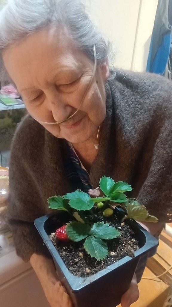 ������ ��� ��������� �� ������. ��� �������� ������ ����. ���������� ���� ����������, �� ������ �� � ... - 3