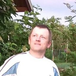 ����, �������, 38 ���