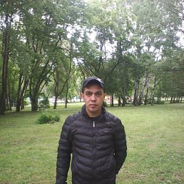 , 37, 